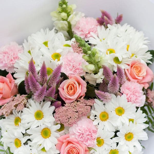 Flowers Of Paradise