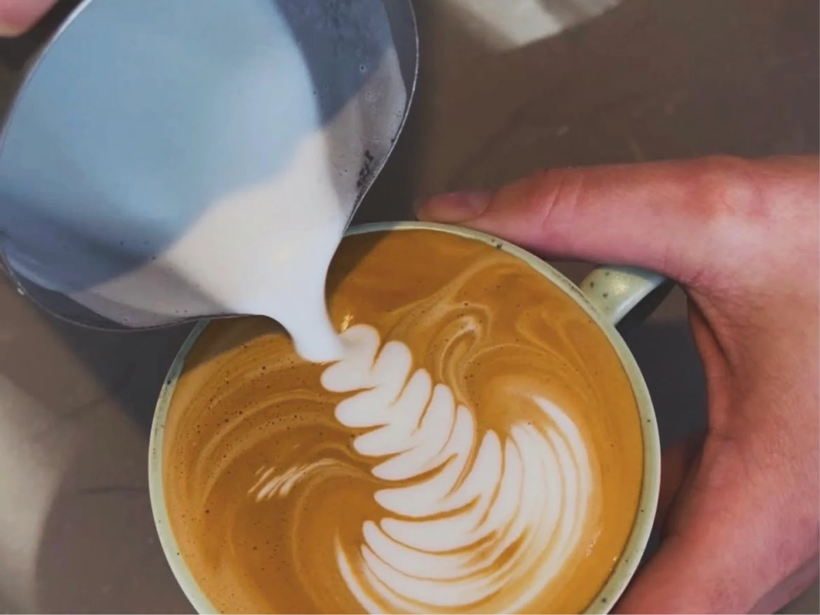 Signature Cafe cover