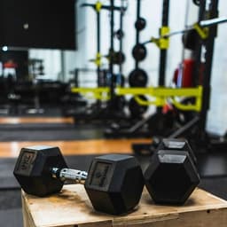 LochsFit Personal Training logo